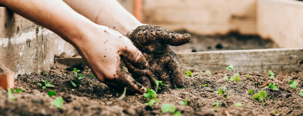 gardening