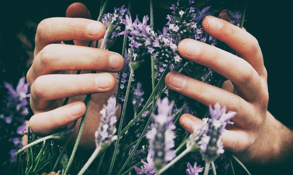 grounding essential oils